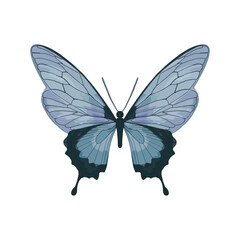 Blue butterfly vector. Aesthetic blue, lavender, purple, violet butterfly. Hand drawn pastel watercolor illustration. Can be used for greeting cards, banners, wallpaper, birthday card.