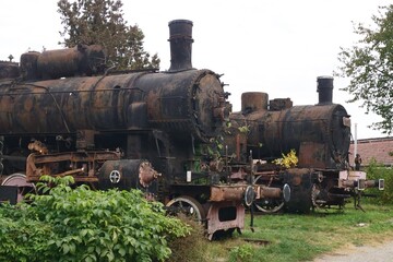 Fototapeta premium Old steam locomotive, Romania 