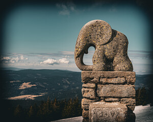 Słonik na górze © Maciej