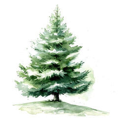 A watercolor painting of Christmas Tree, isolated on a white background. Christmas Tree vector.