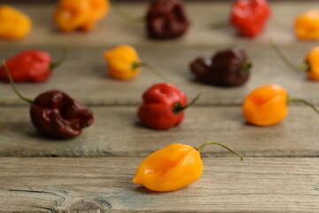 Habanero peppers on bokeh wooden background, colorful hot peppers, red, yellow and brown habanero...
