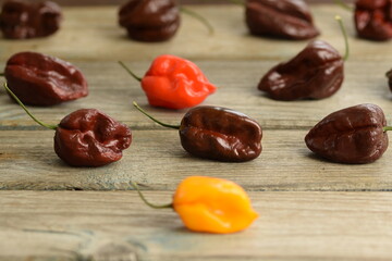 Habanero peppers on bokeh wooden background, colorful hot peppers, red, yellow and brown habanero...