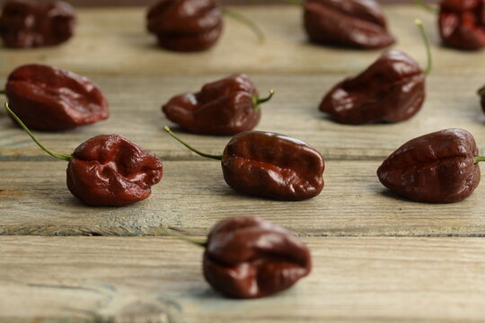 Brown Habanero peppers on wooden background, Habanero Chocolate, selective focus, bokeh, red habanero background, pepper background, space for text, copy space.