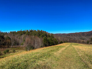 Autumn Landscape in the Mountains