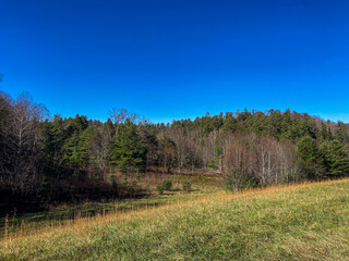 Autumn Landscape in the Mountains