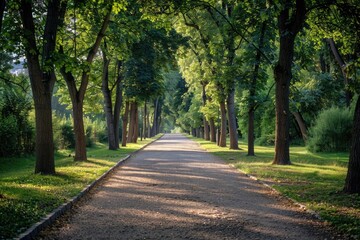 Obraz premium A serene scene of a paved path surrounded by trees, perfect for outdoor photography or illustration