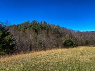Autumn Landscape in the Mountains