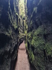 Dans les failles de Canalettes (Larzac)