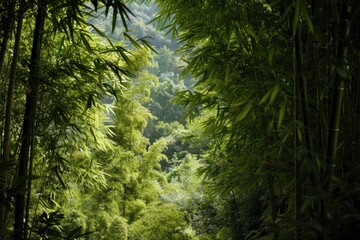 A person rides a horse through a dense and vibrant green forest, with foliage and trees surrounding them