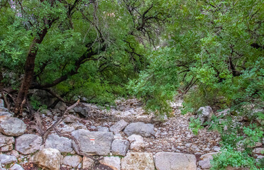 Majestic Djebel Zaghouan: Tunisia's Stunning Mountain