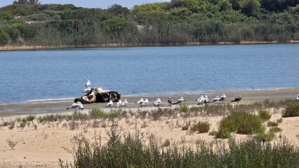 Naturaleza