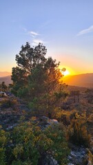 Coucher de soleil sur la garrigue du plateau de Périllos