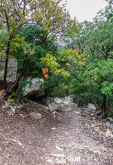 Majestic Djebel Zaghouan: Tunisia's Stunning Mountain