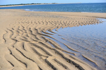 Abstract Sand Ripples