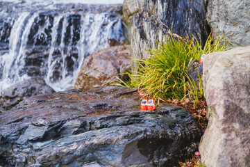 [OSAKA]Temple where you can pray for good luck in winning a game, Small and cute Daruma dolls are displayed throughout the precincts of the temple, Katsuo-ji Temple, Japan