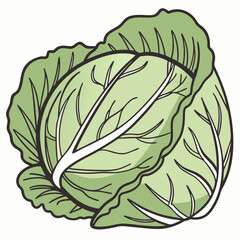 Obraz premium cabbage isolated on white