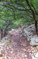 Majestic Djebel Zaghouan: Tunisia's Stunning Mountain