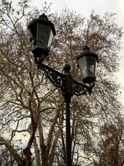 The old street lamp in the backyard 