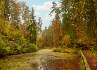 Der Märchensee, Malerischer kleiner See located a former sandstone quarry near Wendelsheim und Rottenburg am Neckar im Schwäbischen Wald mit herbstlich gefärbten Bäumen