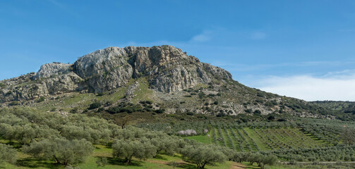 Agriculture landscape and mountains in Andalusia, Spain.