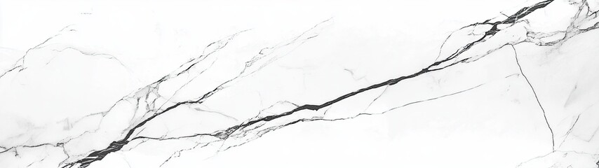 Fototapeta premium White Marble Slab With Black Veining Texture