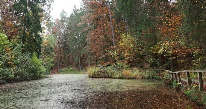 Der M&auml;rchensee, mystischer und malerischer Ort bei Wendelsheim und Oberndorf liegt in einem ehemaligen Sandsteinbruch im Schw&auml;bischen Wald mit seinen herrlichen Herbstfarben