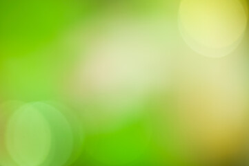 Vibrant green abstract background with soft bokeh lights illuminating a serene atmosphere