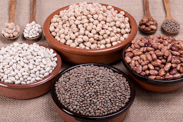 Fototapeta premium Dried legumes in various clay bowls and wooden spoons.