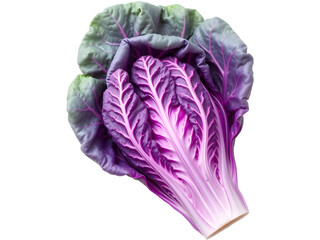 Obraz premium Vibrant purple cabbage, a delicious and healthy addition to any meal.
