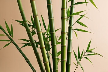 Bamboo Stalks in Green Against a Neutral Background Display