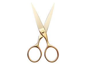 a pair of gold scissors