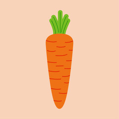 Carrot vector design icon symbol element