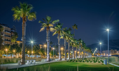 Obraz premium palm tree alley night at beautiful coastal town, tropical city illuminated street at evening