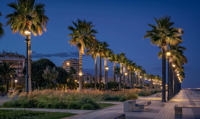 palm tree alley night at beautiful coastal town, tropical city illuminated street at evening
