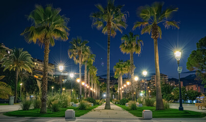 Obraz premium palm tree alley night at beautiful coastal town, tropical city illuminated street at evening