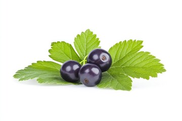 Three blackcurrants with green leaves isolated on white background.
