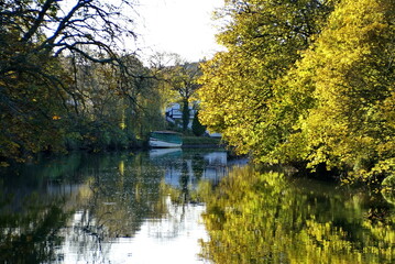 Trees with autumn vegetation along the River Avon in Bath, England