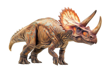 Triceratops is a genus of herbivorous dinosaurs from the ceratopsid family that existed at the end of the Maastrichtian century of the Cretaceous period.