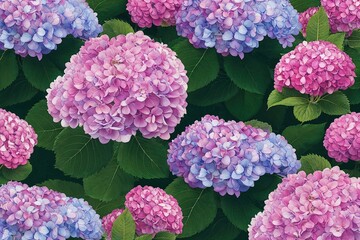 Blooming Elegant Hydrangea Shrubs on Smooth Background