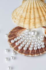 Beautiful white sea pearls on a white backdrop