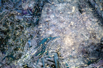 A colorful fantasy on the theme of a splash of clear water illuminated by the sun. The water splashes against the background of grass and stones, chaotically painted in different colors.