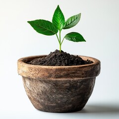 Green ethereum plant. Mixed media
