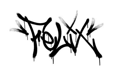 Sprayed Felix name with overspray in black over white. Vector illustration.