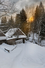 Fototapety na wymiar - Fototapeta24.pl