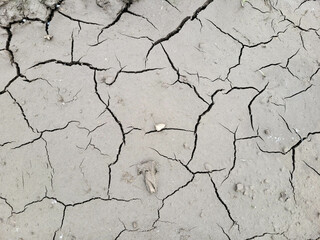 In dry, arid weather, cracked soil