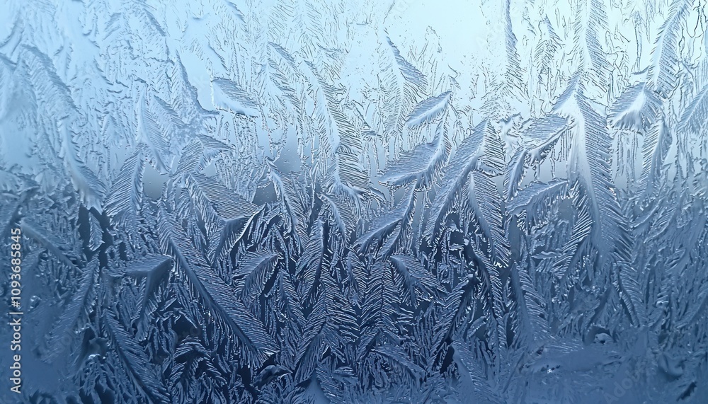 Poster Intricate Frost Patterns on a Windowpane