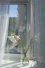 white flowers on window sill