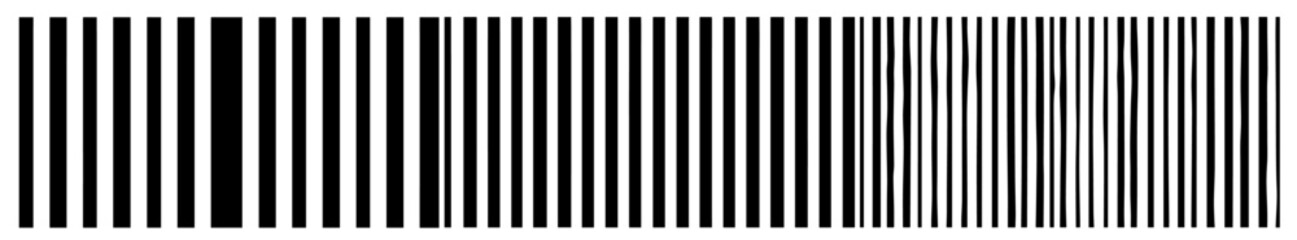 monochrome artwork of bold and thin line patterns