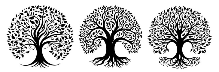 elegant tree of life designs with intricate leaves