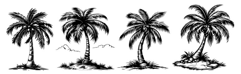 black and white illustration of various palm trees, hand-drawn line art